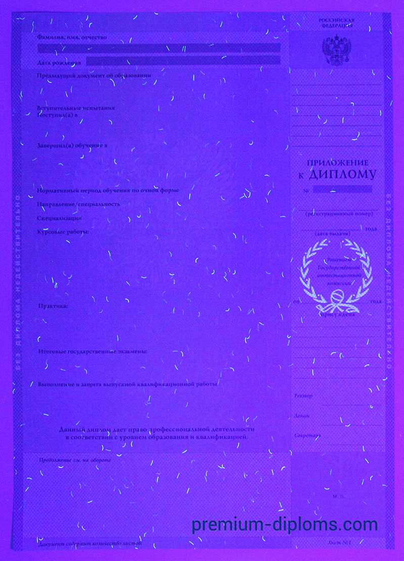 Диплом магистра 2004-2009 год фото