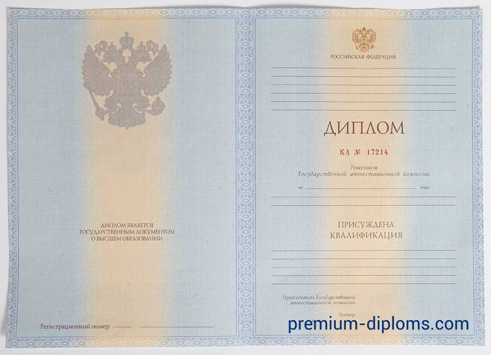 Диплом специалиста 2011-2013 год фото